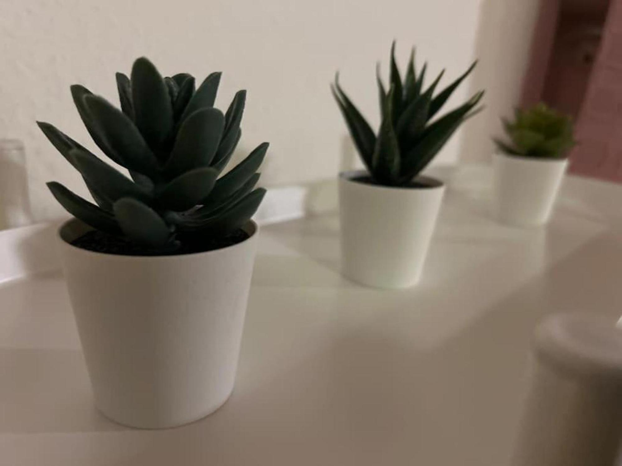 Saniert Zentrale 2Zi Wohnung Messe エッセン エクステリア 写真
